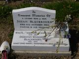 image of grave number 267706